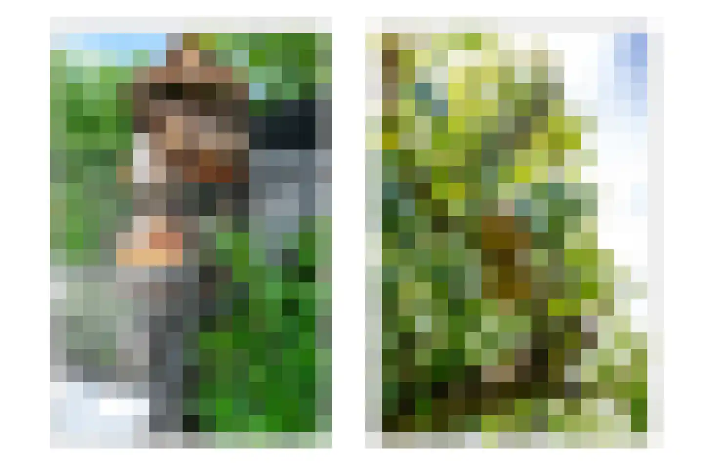 Goudmos 30 Houten thumbnail 26