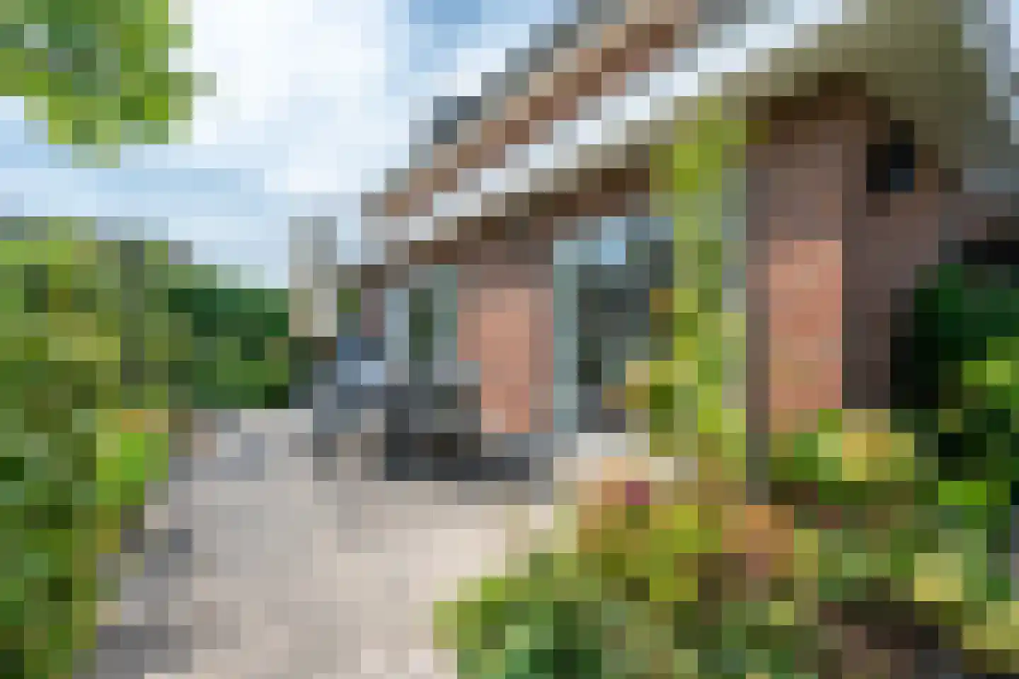 Goudmos 30 Houten thumbnail 28