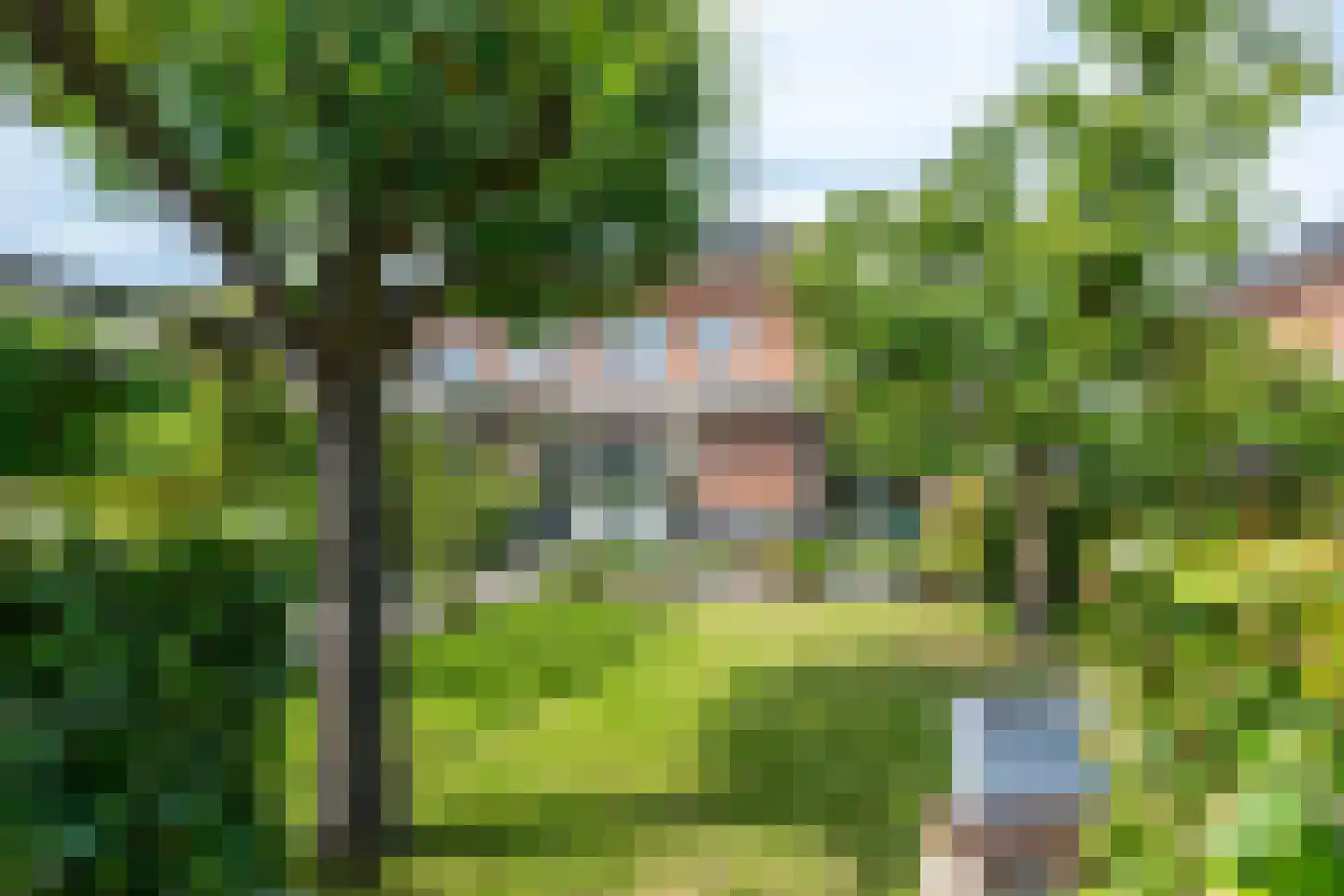 Goudmos 30 Houten thumbnail 29