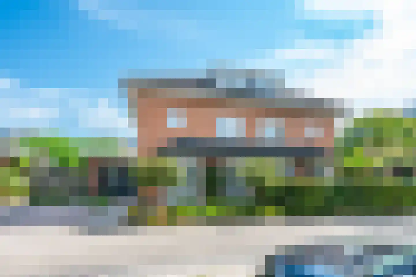 Goudmos 30 Houten thumbnail 43