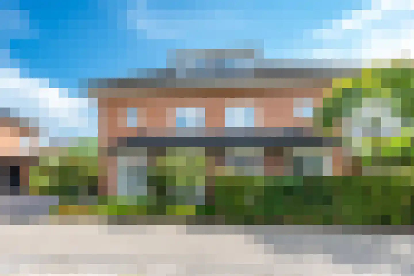 Goudmos 30 Houten thumbnail 44