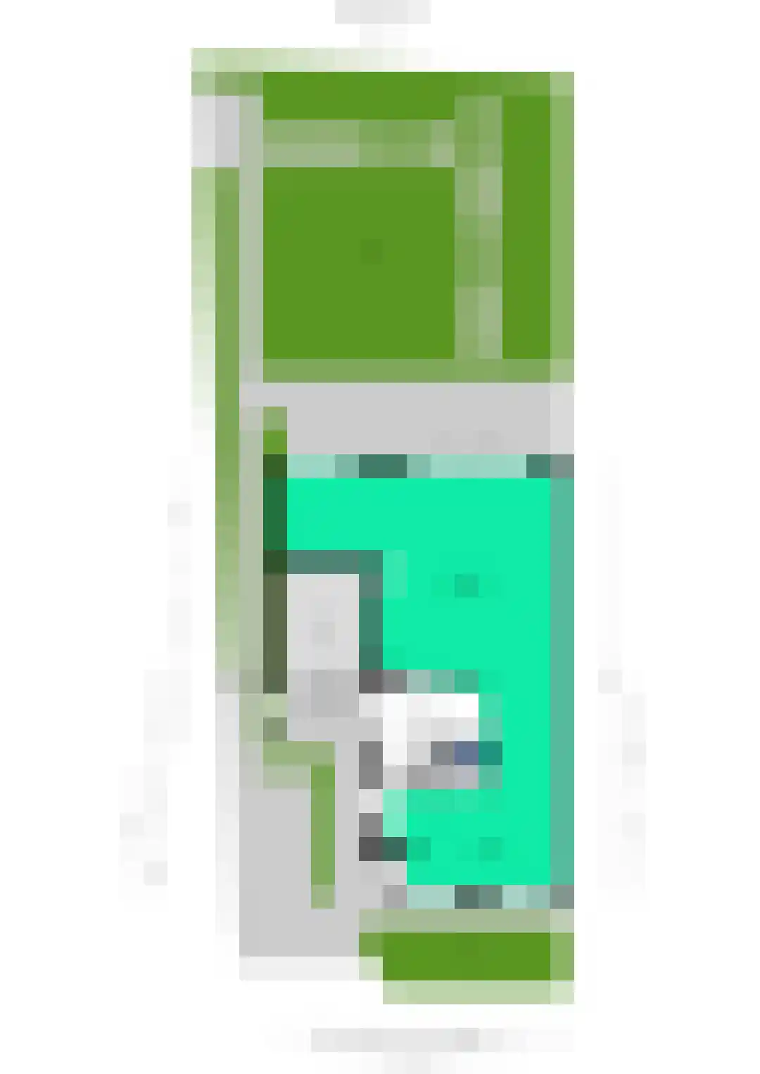 Goudmos 30 Houten thumbnail 56