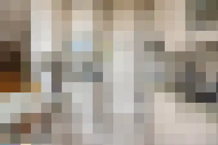 Goudmos 41 Nieuwerkerk aan den IJssel thumbnail 10