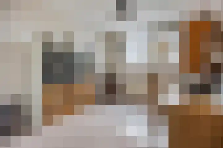 Goudmos 41 Nieuwerkerk aan den IJssel thumbnail 15