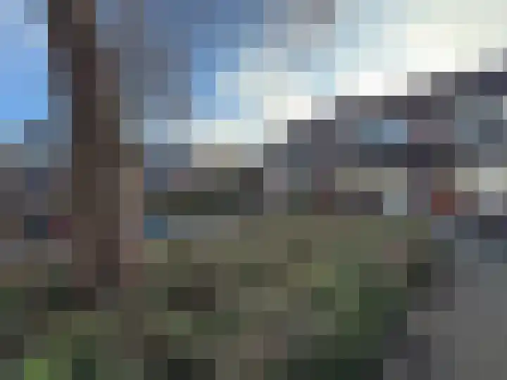 Goudmos 41 Nieuwerkerk aan den IJssel thumbnail 23