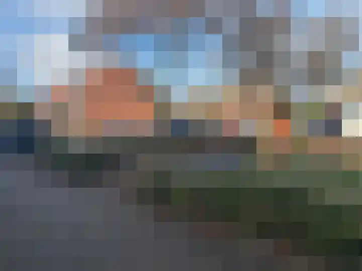 Goudmos 41 Nieuwerkerk aan den IJssel thumbnail 24