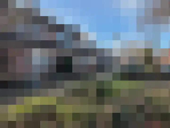 Goudmos 41 Nieuwerkerk aan den IJssel thumbnail 25