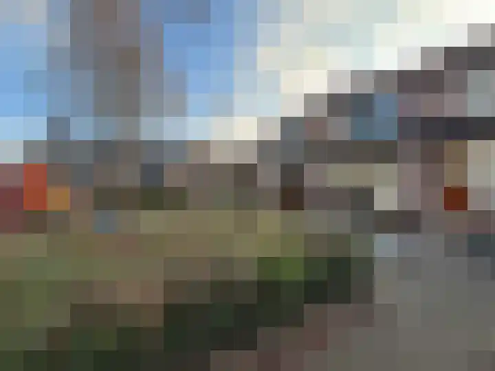 Goudmos 41 Nieuwerkerk aan den IJssel thumbnail 4
