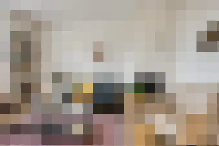 Goudmos 41 Nieuwerkerk aan den IJssel thumbnail 5