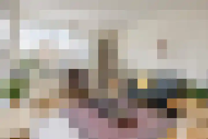 Goudmos 41 Nieuwerkerk aan den IJssel thumbnail 6