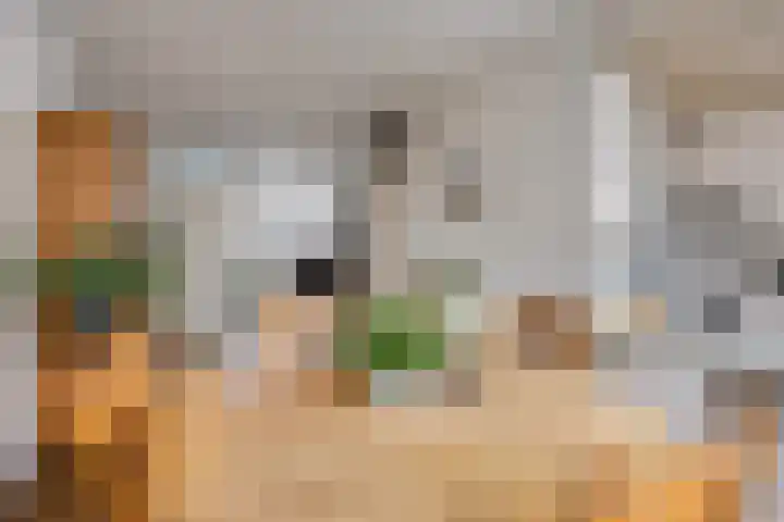 Goudmos 41 Nieuwerkerk aan den IJssel thumbnail 8