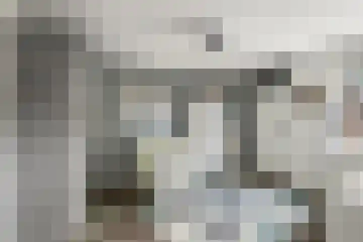 Goudmos 49 Nieuwerkerk aan den IJssel thumbnail 13