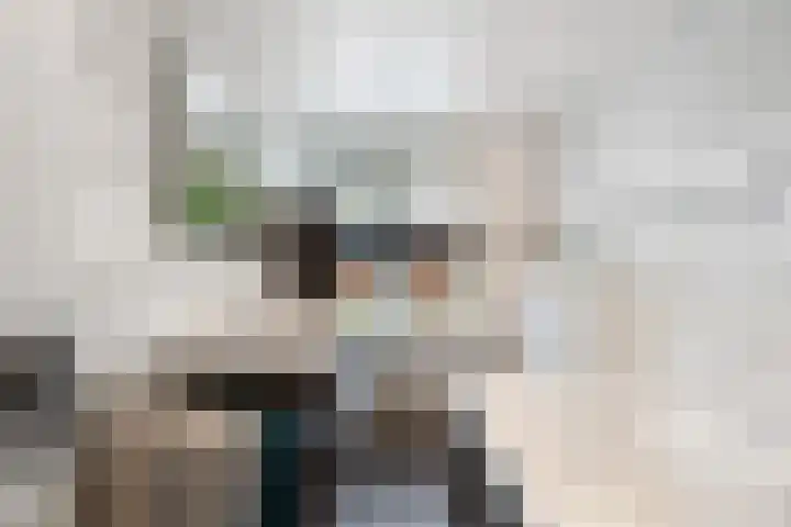 Goudmos 49 Nieuwerkerk aan den IJssel thumbnail 15