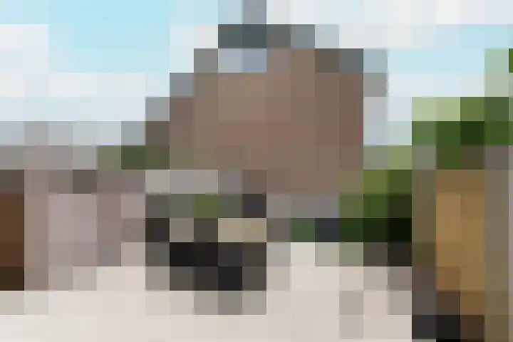Goudmos 49 Nieuwerkerk aan den IJssel thumbnail 19