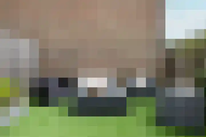 Goudmos 49 Nieuwerkerk aan den IJssel thumbnail 20