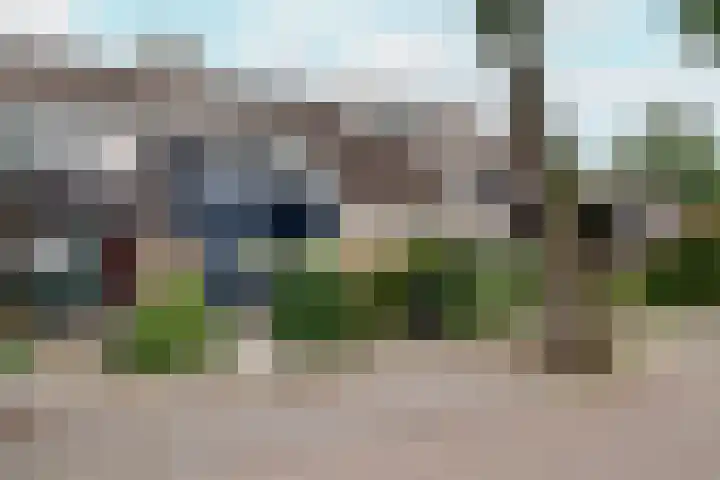 Goudmos 49 Nieuwerkerk aan den IJssel thumbnail 27