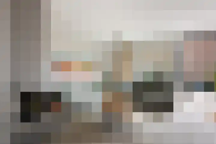 Goudmos 49 Nieuwerkerk aan den IJssel thumbnail 5