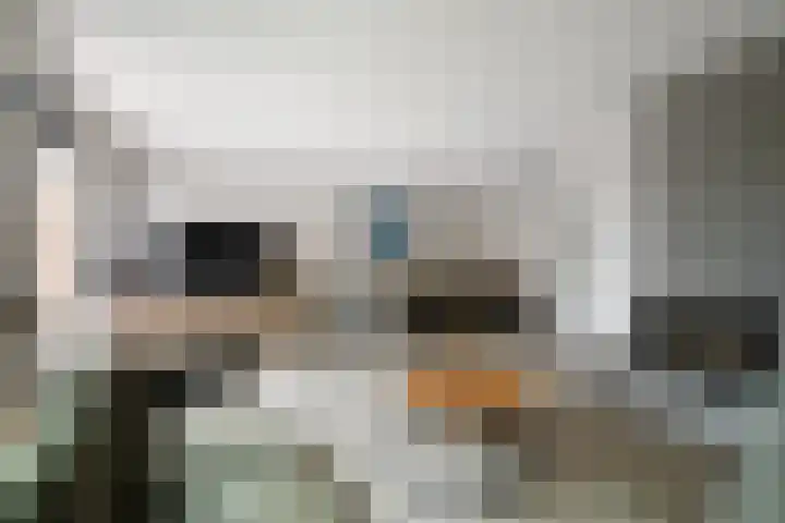 Goudmos 49 Nieuwerkerk aan den IJssel thumbnail 6