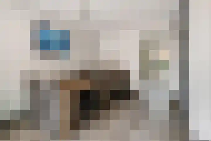 Goudmos 49 Nieuwerkerk aan den IJssel thumbnail 7