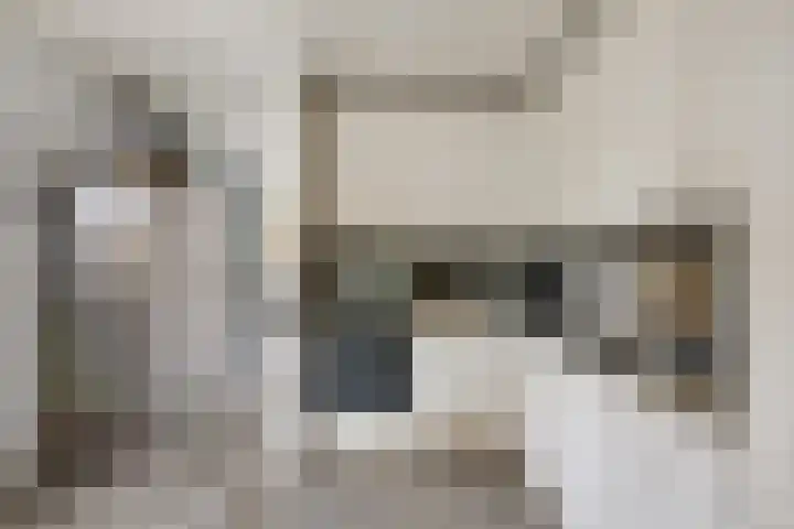 Goudmos 49 Nieuwerkerk aan den IJssel thumbnail 8