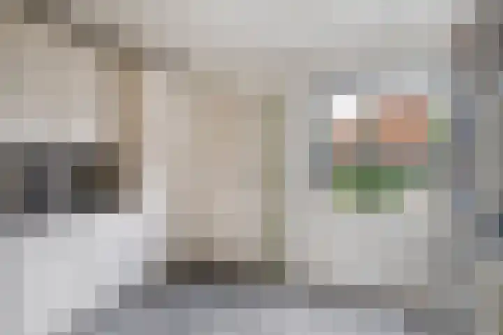 Goudmos 49 Nieuwerkerk aan den IJssel thumbnail 9