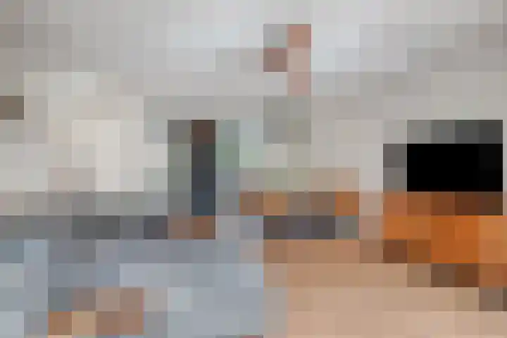 Goudmos 5 Bergschenhoek thumbnail 12