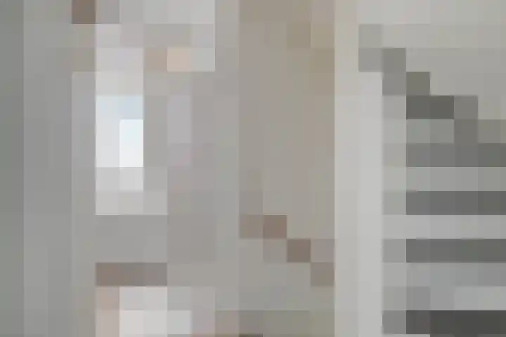 Goudmos 5 Bergschenhoek thumbnail 14