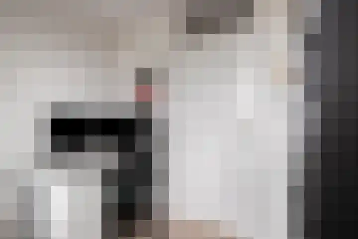Goudmos 5 Bergschenhoek thumbnail 16