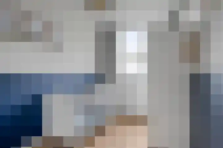 Goudmos 5 Bergschenhoek thumbnail 17