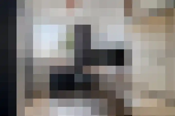 Goudmos 5 Bergschenhoek thumbnail 21