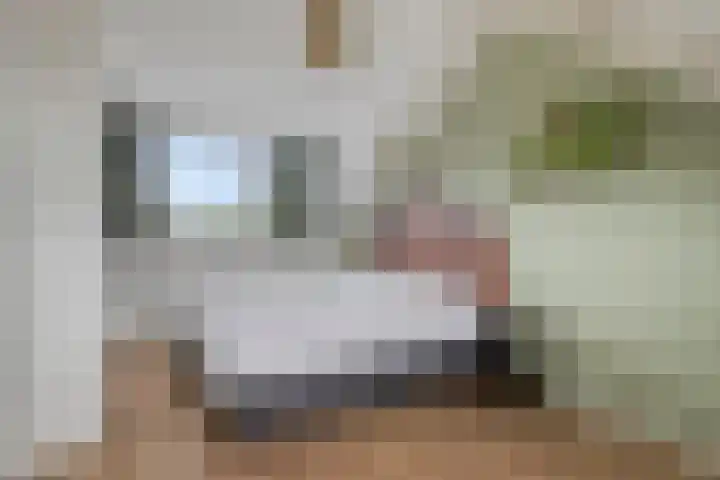 Goudmos 5 Bergschenhoek thumbnail 25