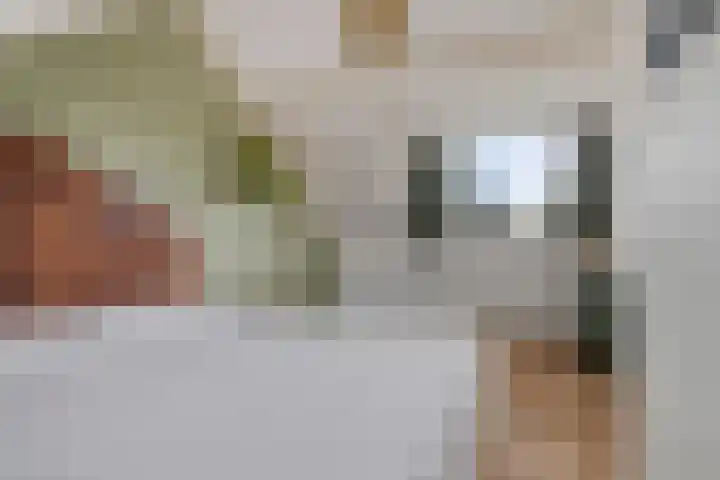 Goudmos 5 Bergschenhoek thumbnail 26