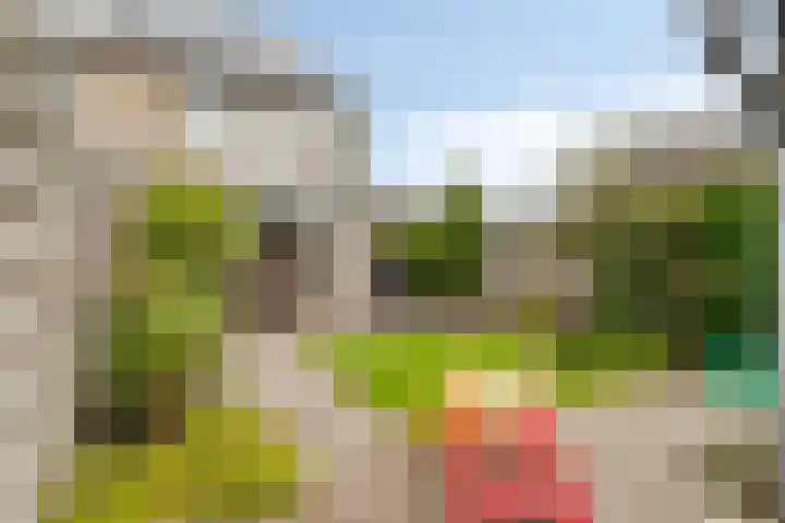 Goudmos 5 Bergschenhoek thumbnail 30