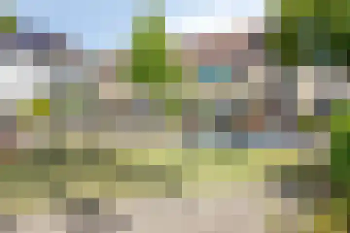Goudmos 5 Bergschenhoek thumbnail 32