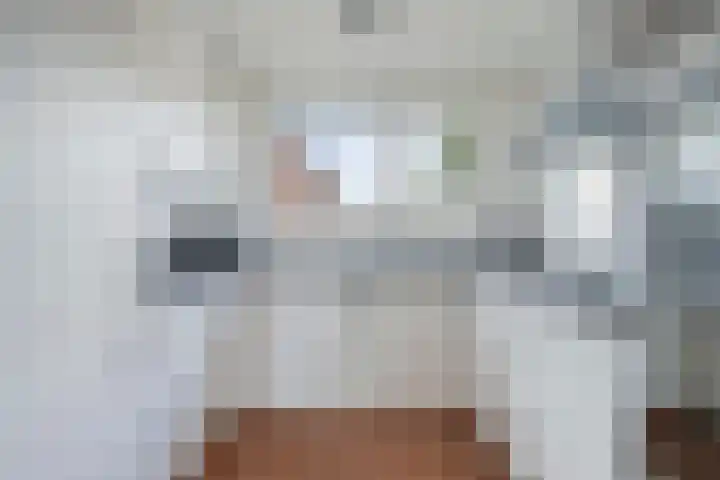 Goudmos 5 Bergschenhoek thumbnail 7