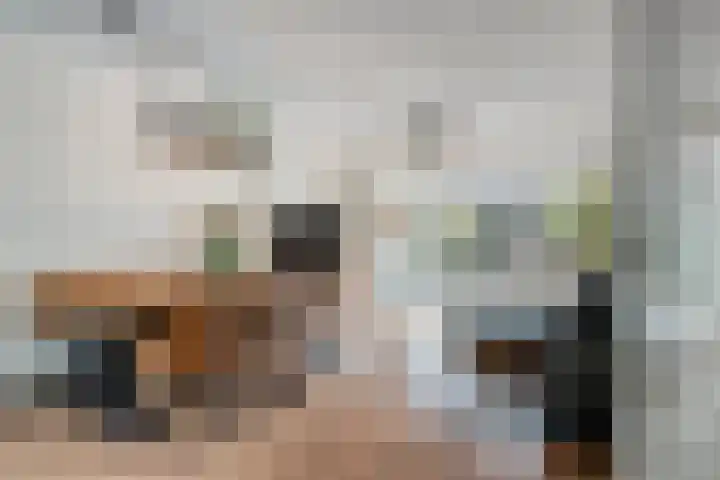Goudmos 5 Bergschenhoek thumbnail 9