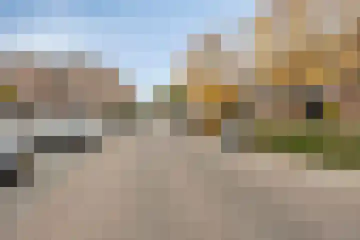Goudmos 59 Nieuwerkerk aan den IJssel thumbnail 32