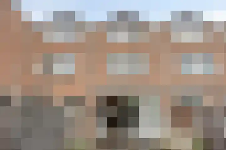 Goudmos 59 Nieuwerkerk aan den IJssel thumbnail 5