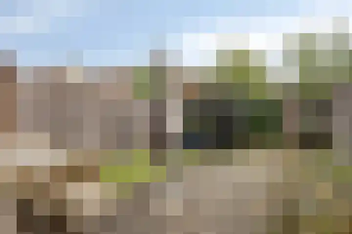 Goudmos 59 Nieuwerkerk aan den IJssel thumbnail 6