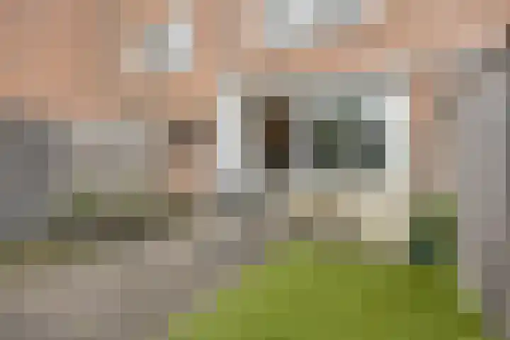 Goudmos 59 Nieuwerkerk aan den IJssel thumbnail 7
