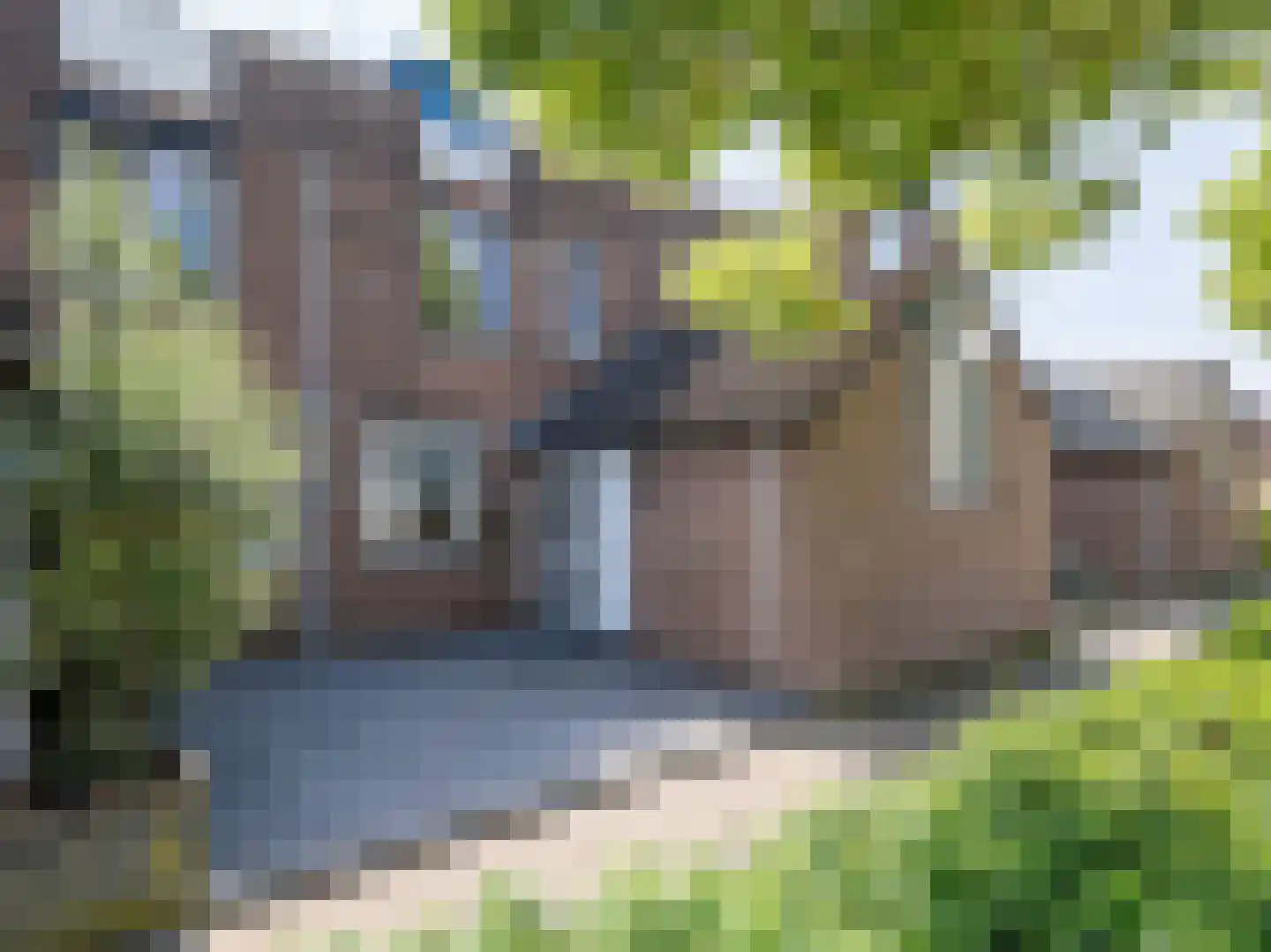 Goudmos 61 in Nieuwerkerk aan den IJssel