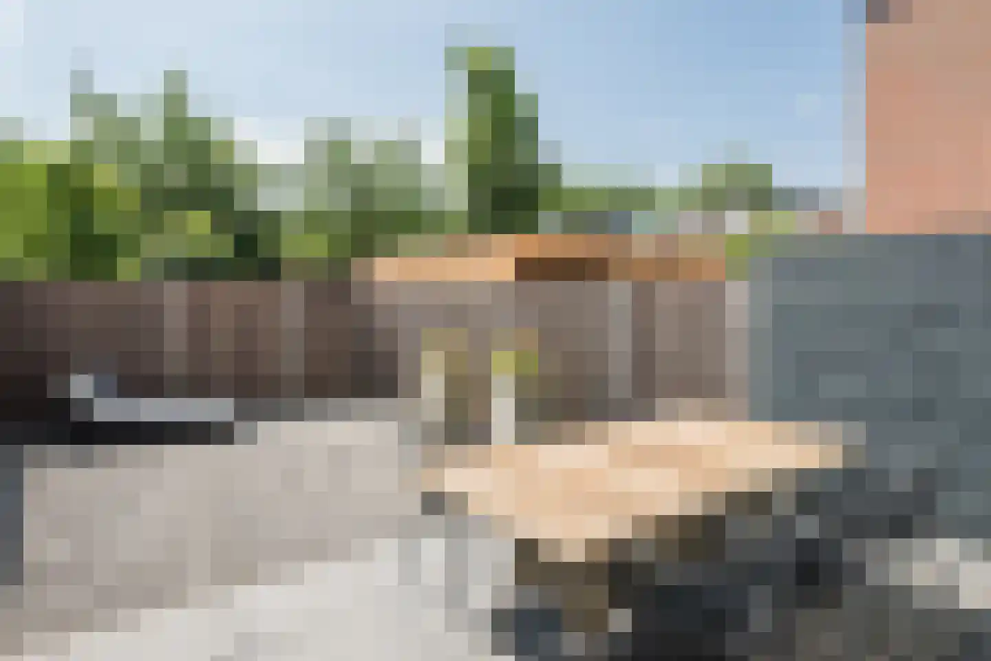 Goudmos 61 Nieuwerkerk aan den IJssel thumbnail 29