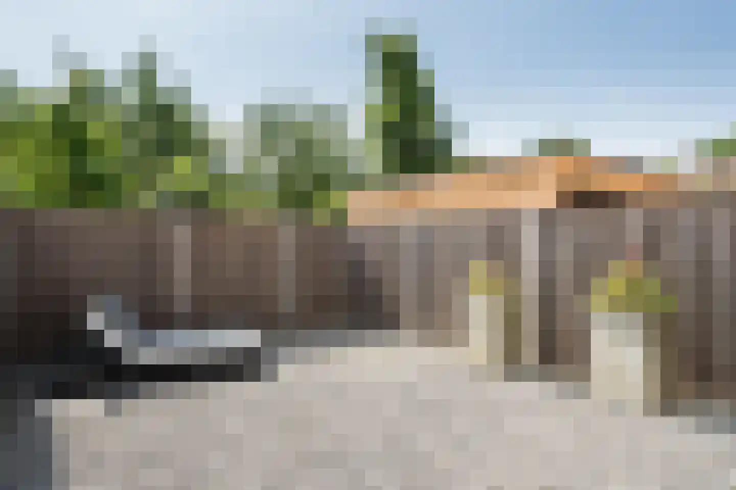 Goudmos 61 Nieuwerkerk aan den IJssel thumbnail 30