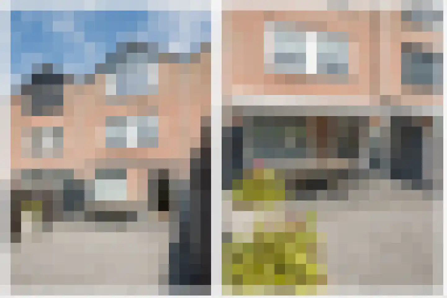 Goudmos 61 Nieuwerkerk aan den IJssel thumbnail 32
