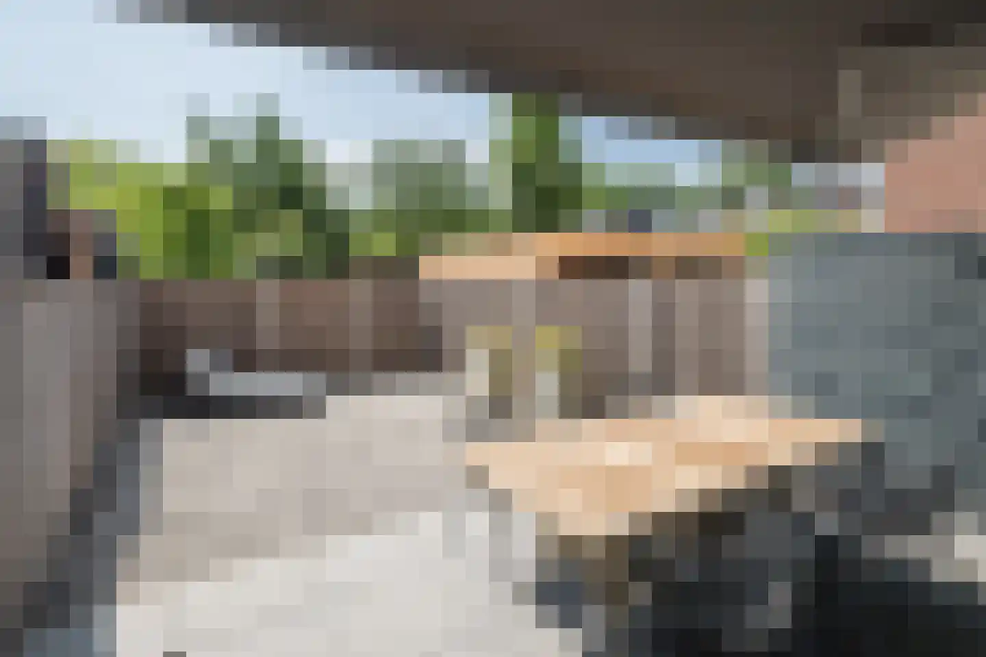Goudmos 61 Nieuwerkerk aan den IJssel thumbnail 33