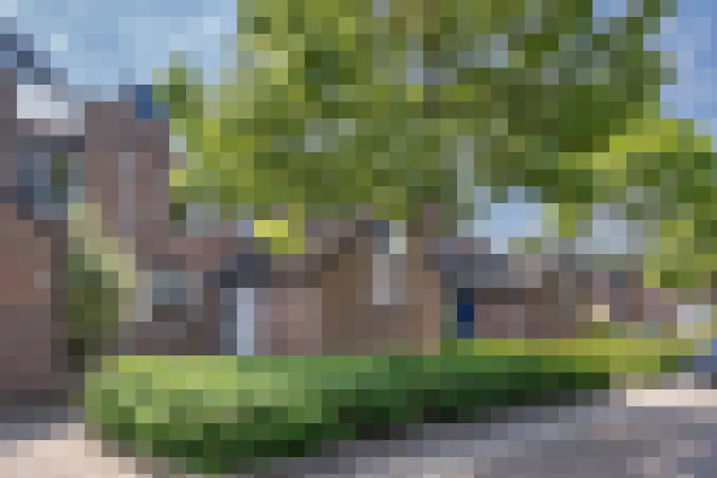 Goudmos 61 Nieuwerkerk aan den IJssel thumbnail 35