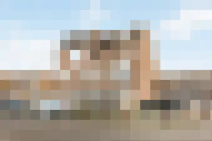 Goudmos 68 in Nieuwerkerk aan den IJssel