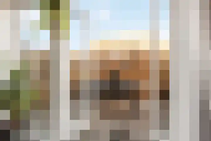 Goudmos 68 Nieuwerkerk aan den IJssel thumbnail 15