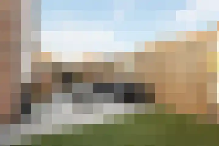 Goudmos 68 Nieuwerkerk aan den IJssel thumbnail 16