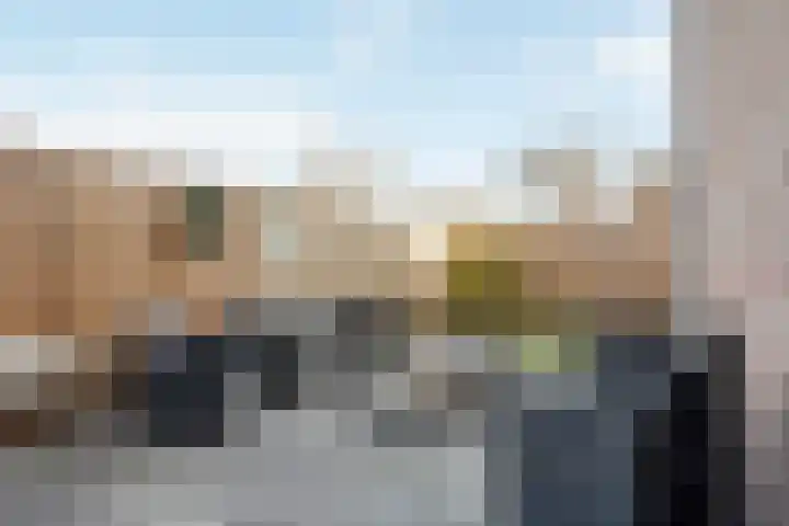 Goudmos 68 Nieuwerkerk aan den IJssel thumbnail 17